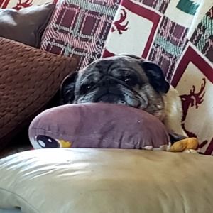 Meet your Posher, Ayne